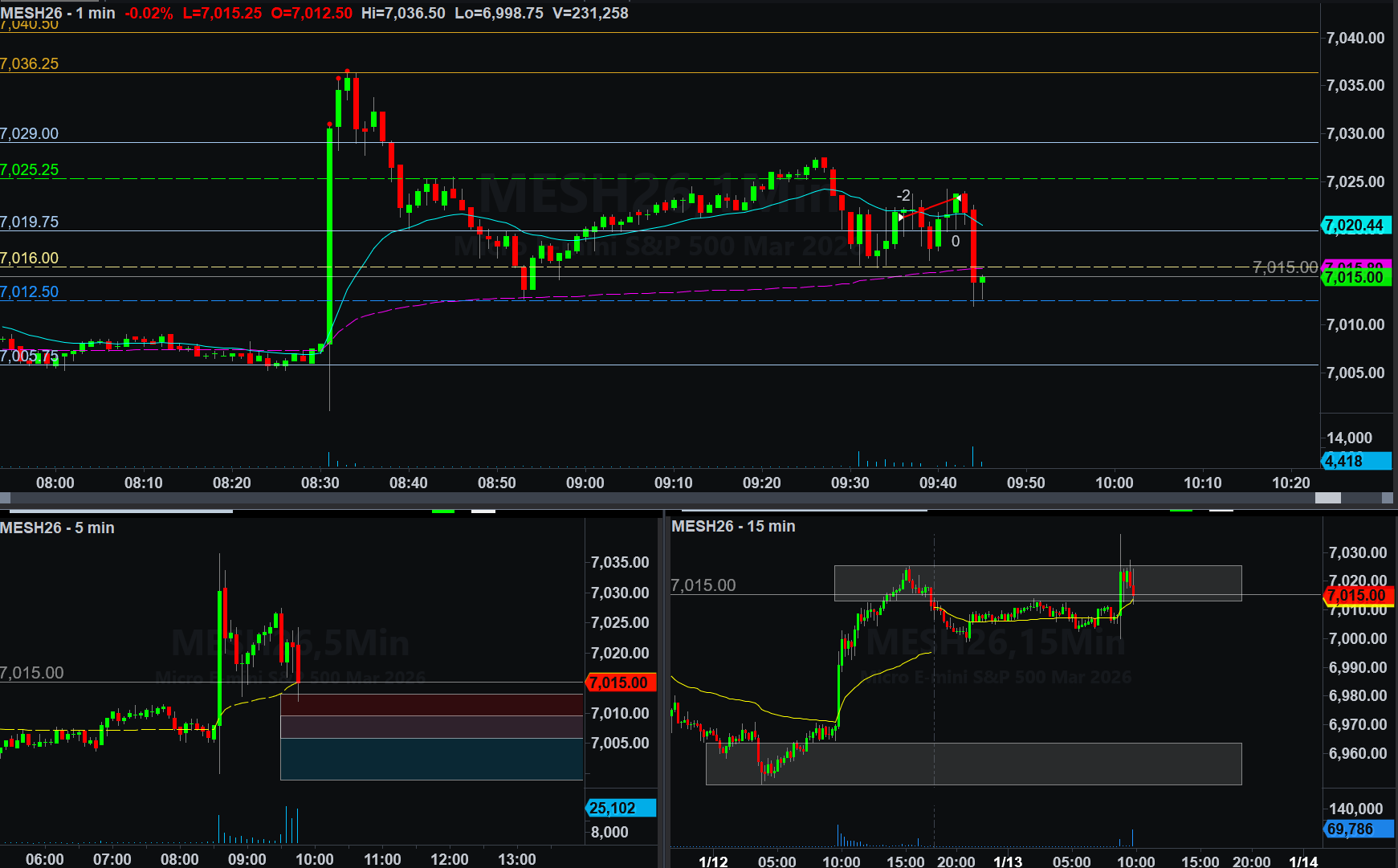 January 13, 2026 (-$97.50) - Tick Too The Plan