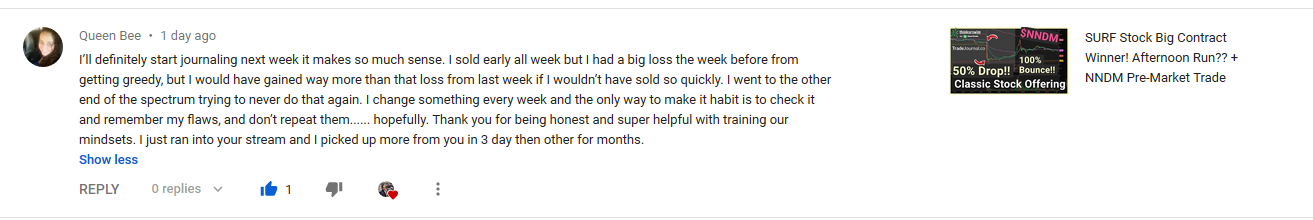 TradeJournal review by Queen Bee on YouTube - Alex Winkler